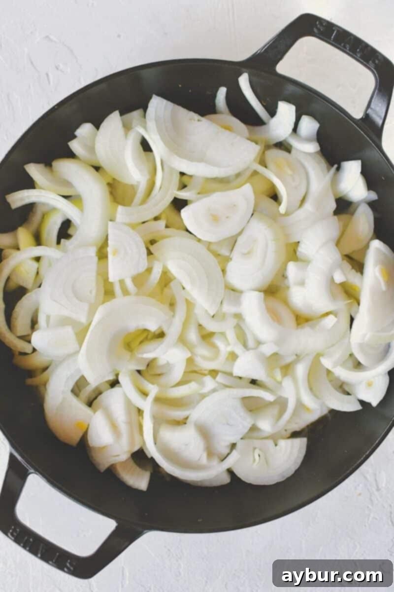 Caramelized French Onion Chicken 5 Placing the sliced onions in the same pan after crisping the chicken thighs, ready to begin caramelizing.