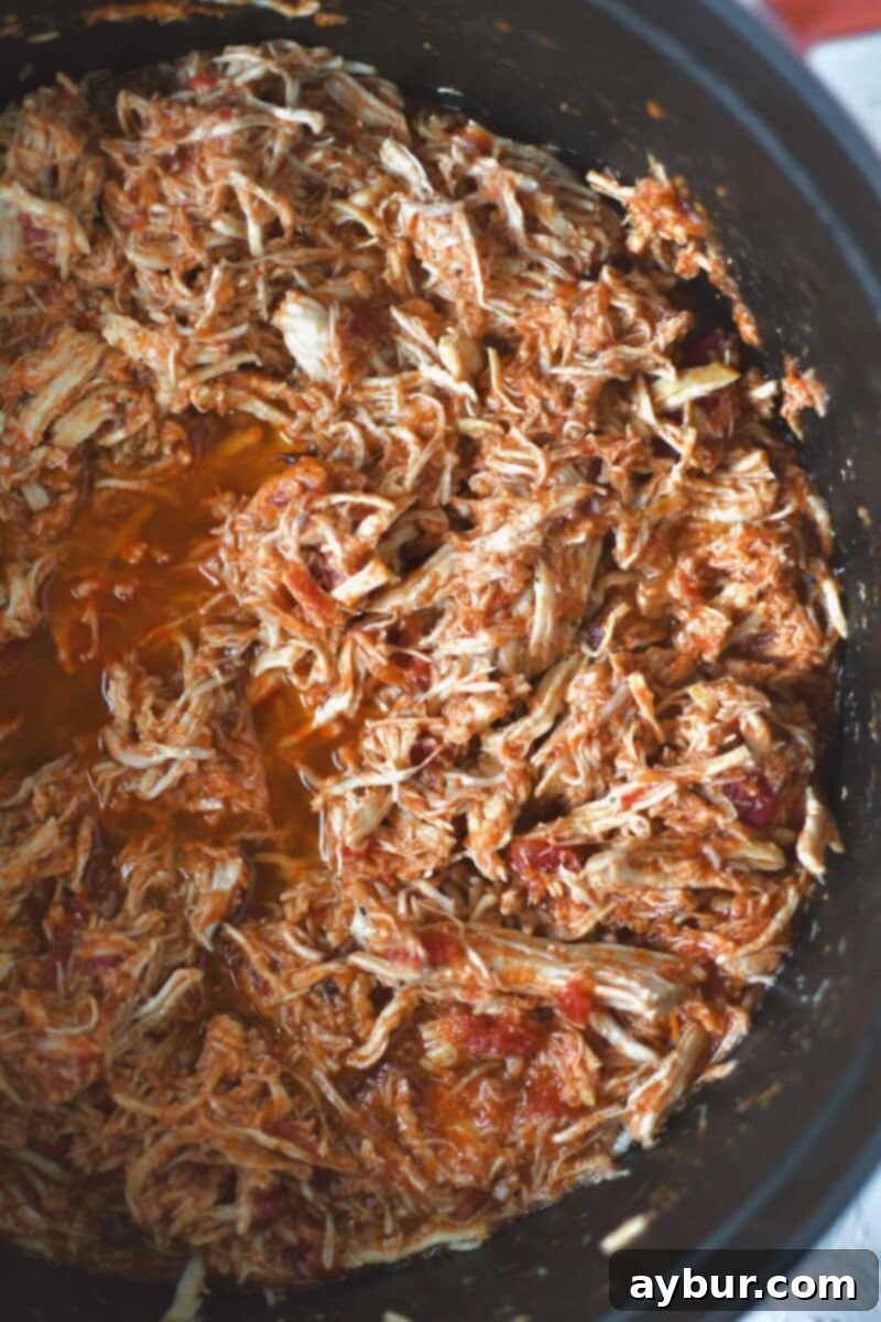 Shredded chicken added back to the tomatoes before serving over cooked pasta.