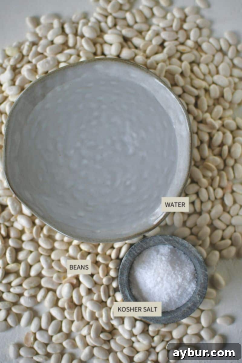 The minimal ingredients required to cook Perfect Instant Pot Beans: dry beans, water, and a container of salt, positioned next to an electric pressure cooker.