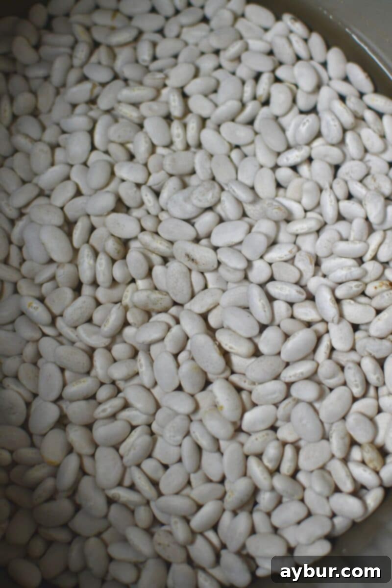 Dry beans, specifically Great Northern Beans, inside an Instant Pot before the pressure cooking process begins.