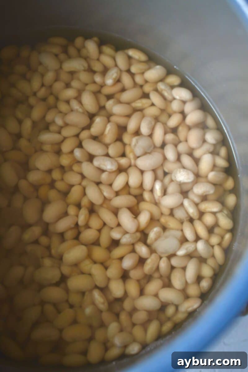 Perfectly cooked and tender Great Northern Beans in the Instant Pot after the pressure cooking cycle is complete, ready for storage or immediate use.