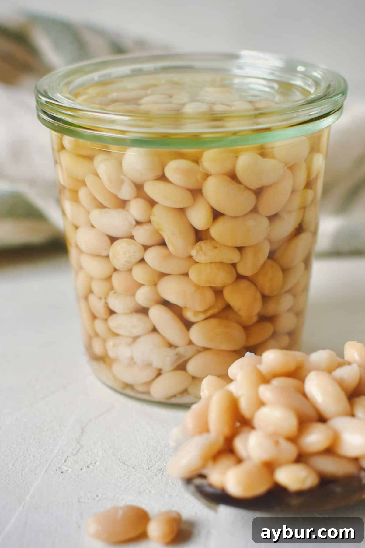 Tender, cooked Instant Pot beans, ready for storage, in a clear glass jar. A spoonful of beans rests beside the jar, showcasing their perfect texture.