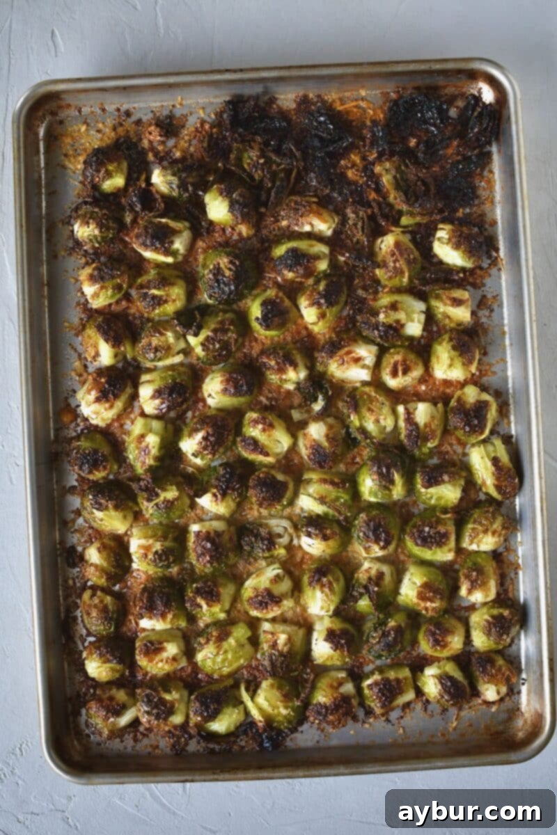 Golden-brown crispy Parmesan Brussels sprouts fresh out of the oven, with a savory, caramelized cheese crust.
