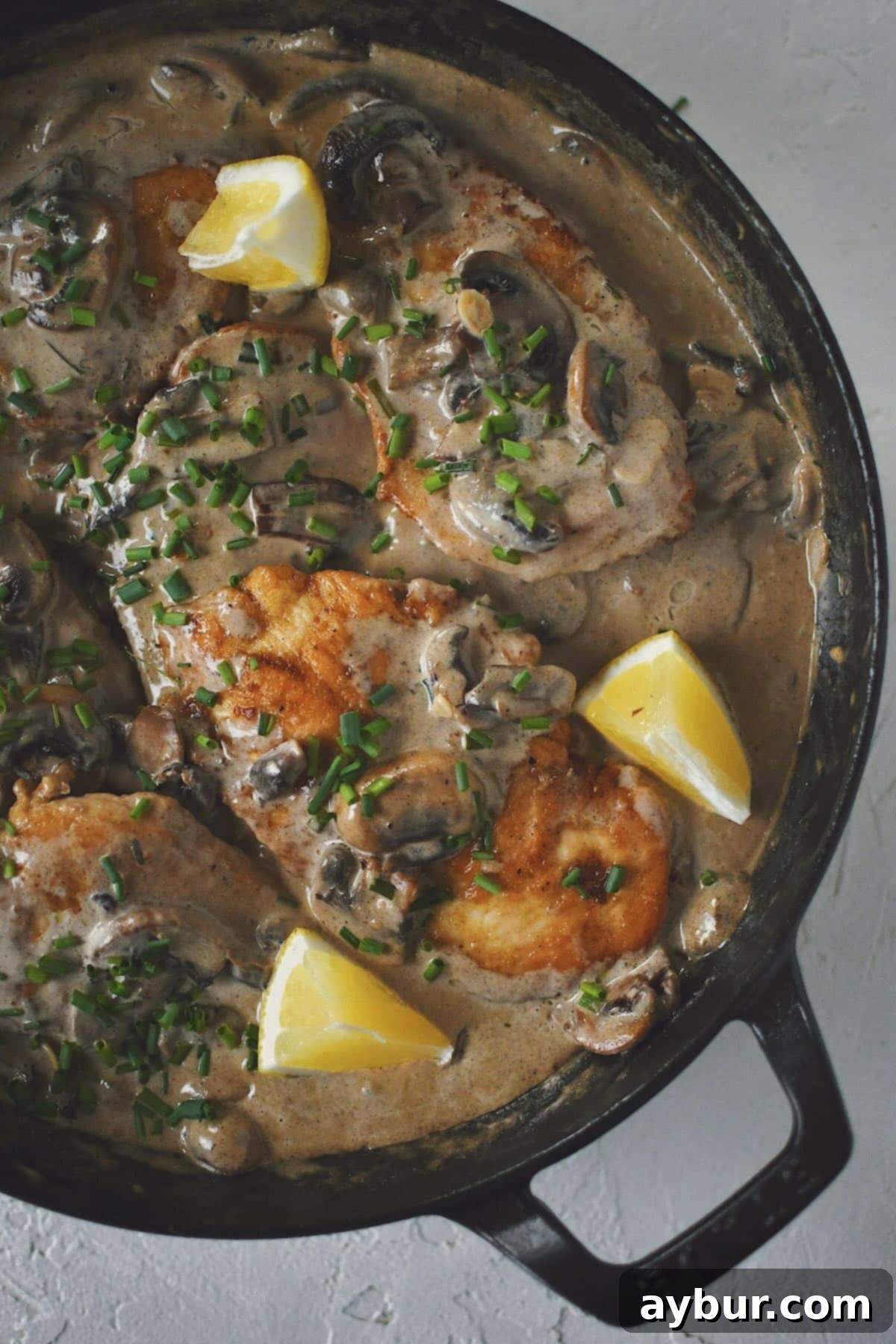 Velvety Mushroom Chicken 2 Pan-seared creamy mushroom chicken, garnished with fresh chives and a vibrant squeeze of lemon.