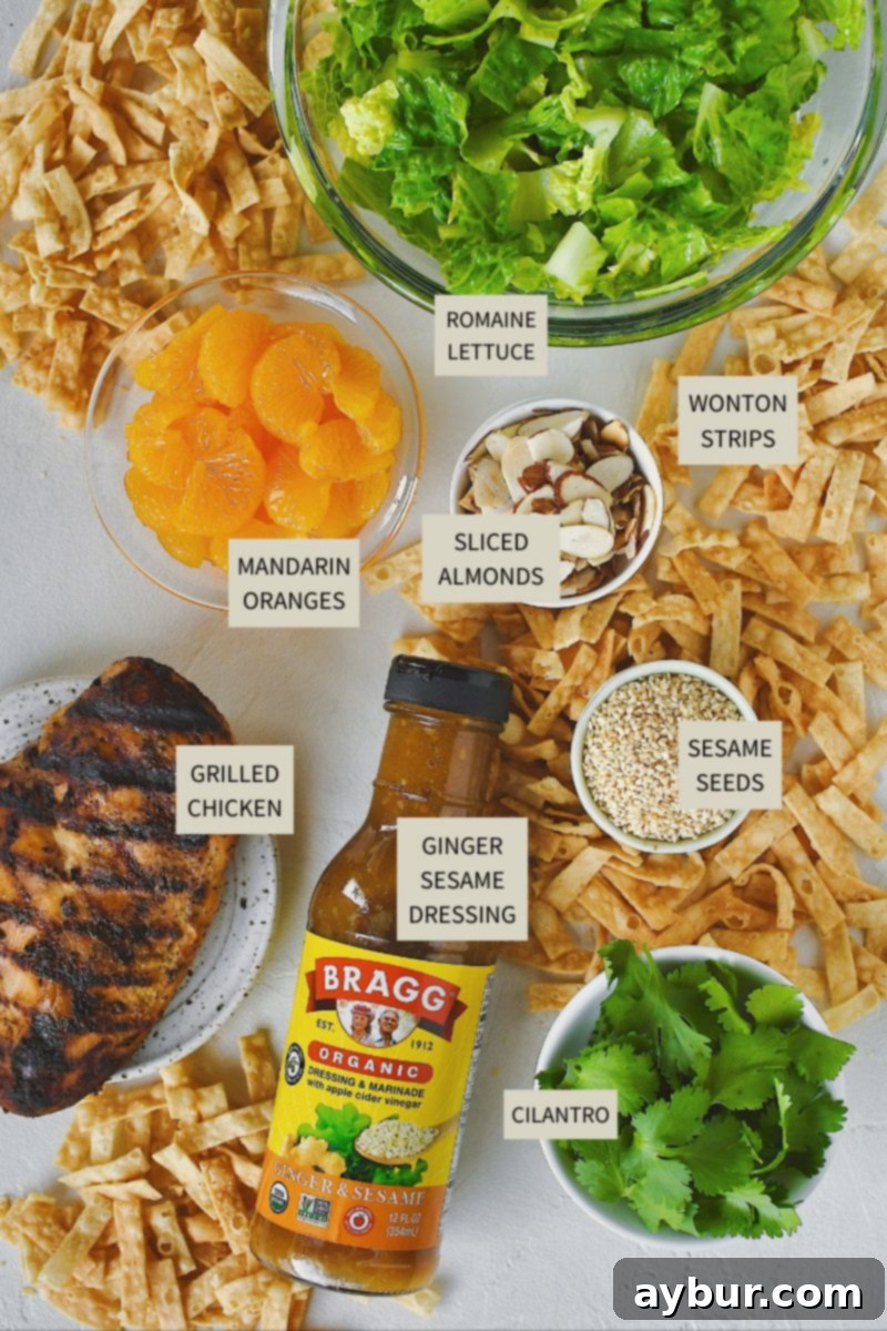 All the fresh and pantry ingredients needed to prepare the Panera Asian Sesame Salad, including romaine, chicken, dressing, oranges, wontons, and almonds.