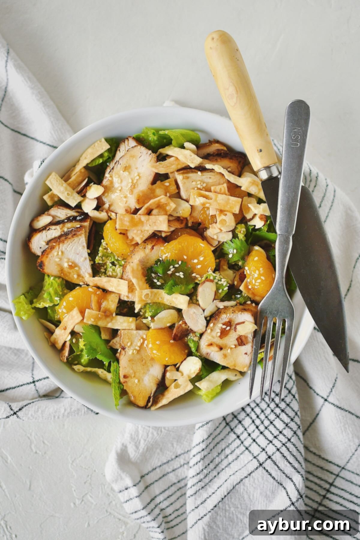 A close-up of the delicious Panera Asian Sesame Salad, showcasing its vibrant colors, grilled chicken, juicy oranges, and crispy wontons.