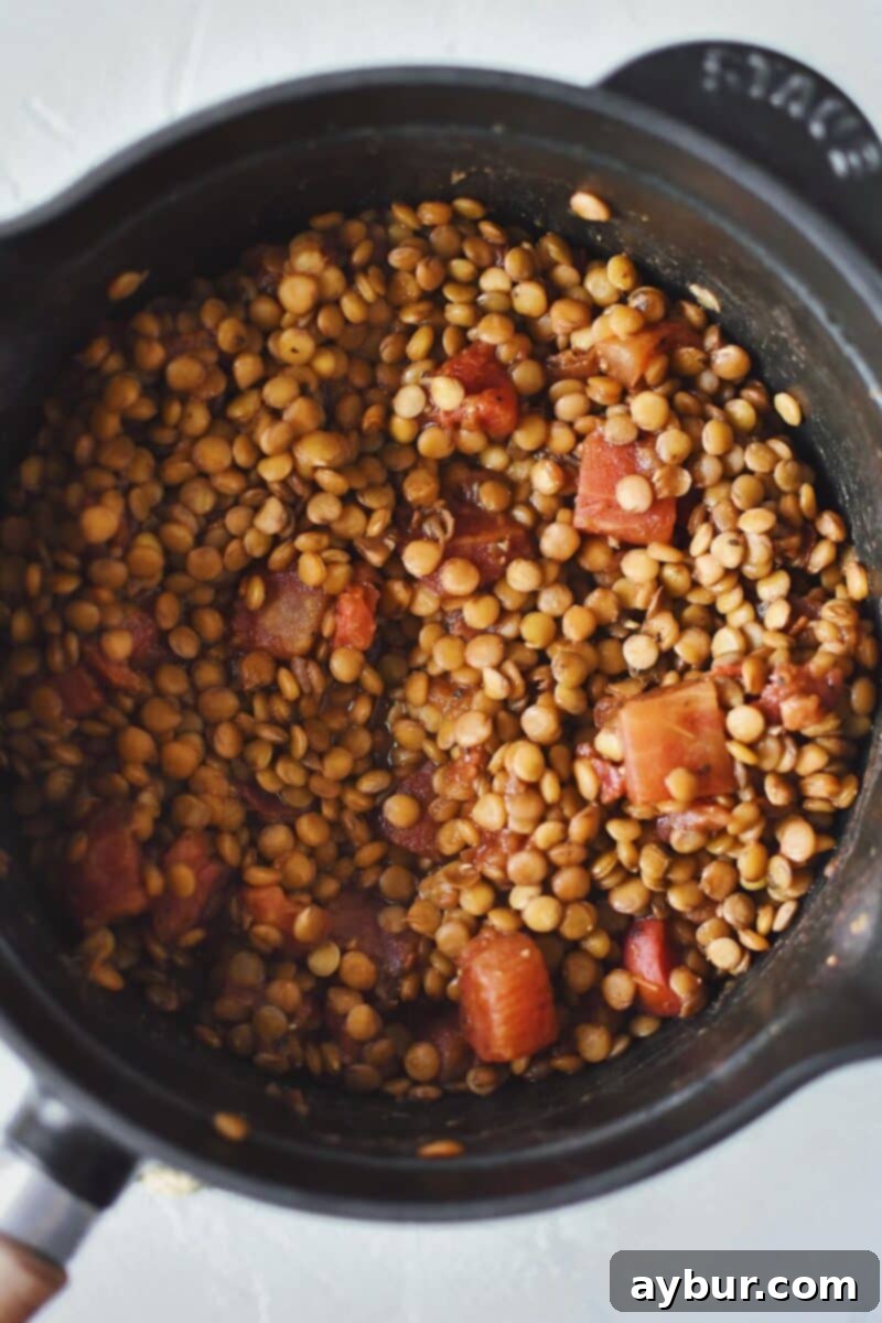 Green lentils gently simmering in a flavorful sauce of diced tomatoes.