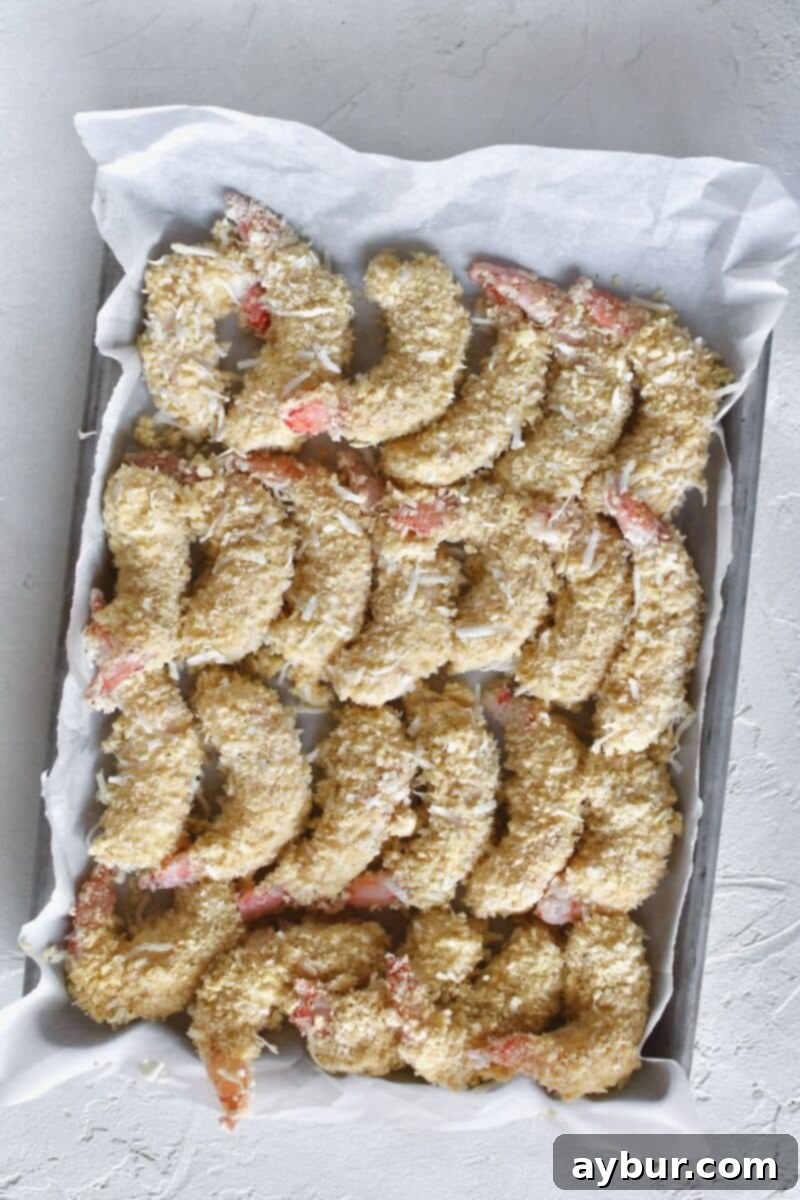 Coated shrimp neatly arranged in a single layer on a sheet pan, ready for the freezer before frying.