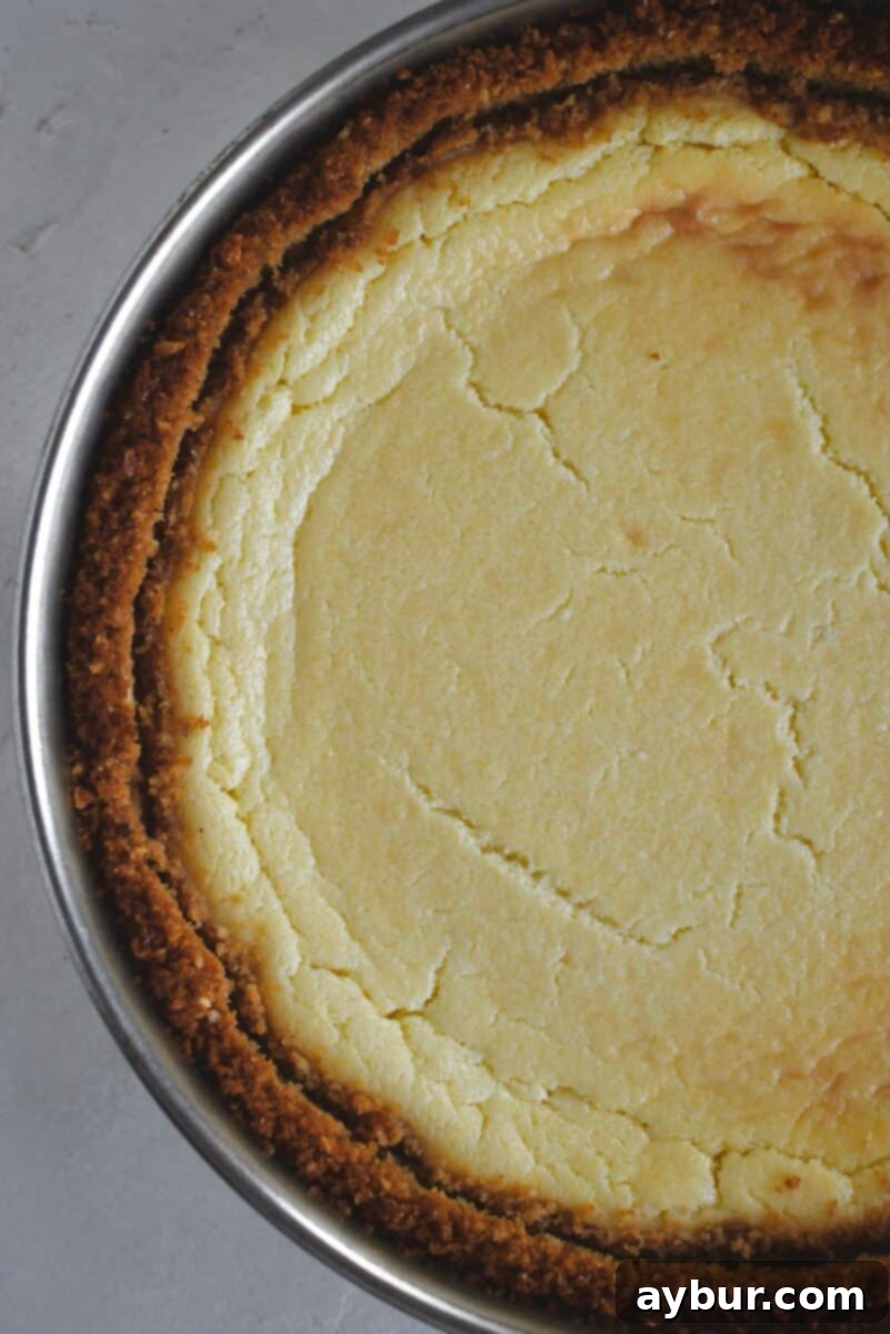 Classic Italian Ricotta Cheesecake 12 The baked and thoroughly cooled Italian cheesecake still in its springform pan, before the final topping and removal.