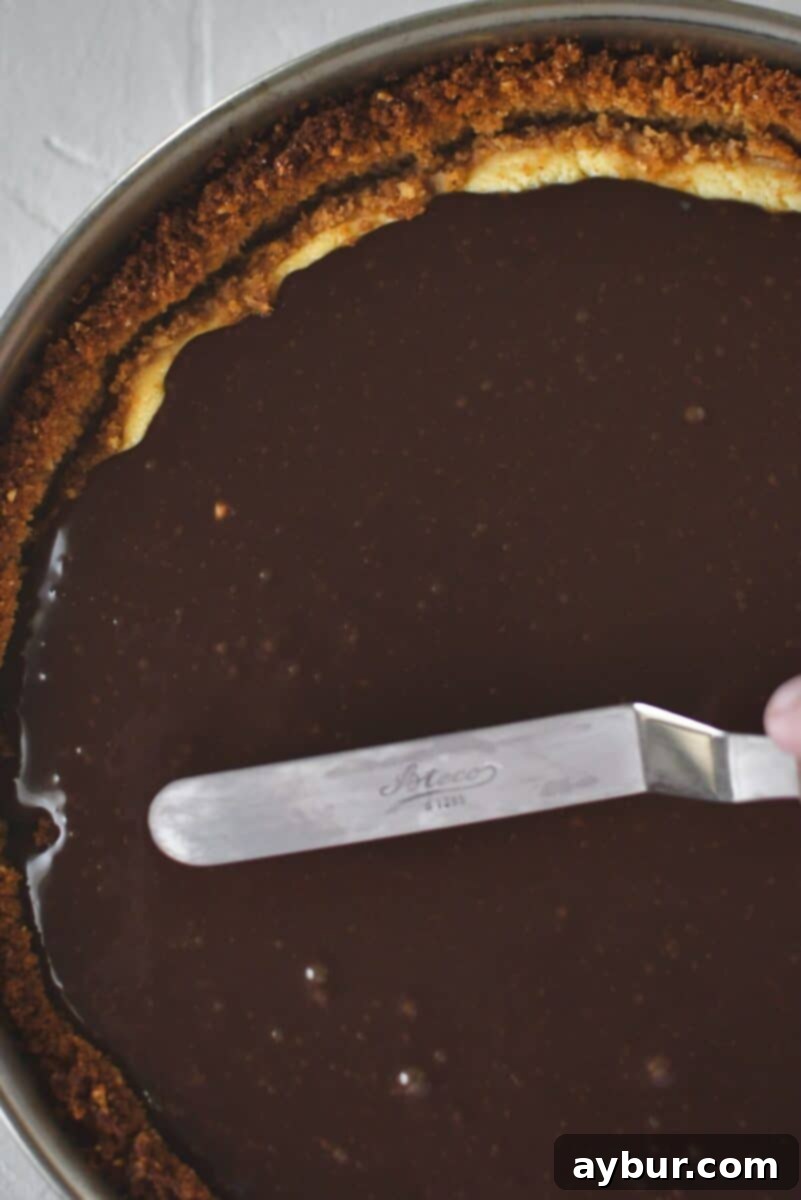 Classic Italian Ricotta Cheesecake 14 Expertly spreading the luscious Nutella ganache over the top of the baked and thoroughly cooled Italian cheesecake.