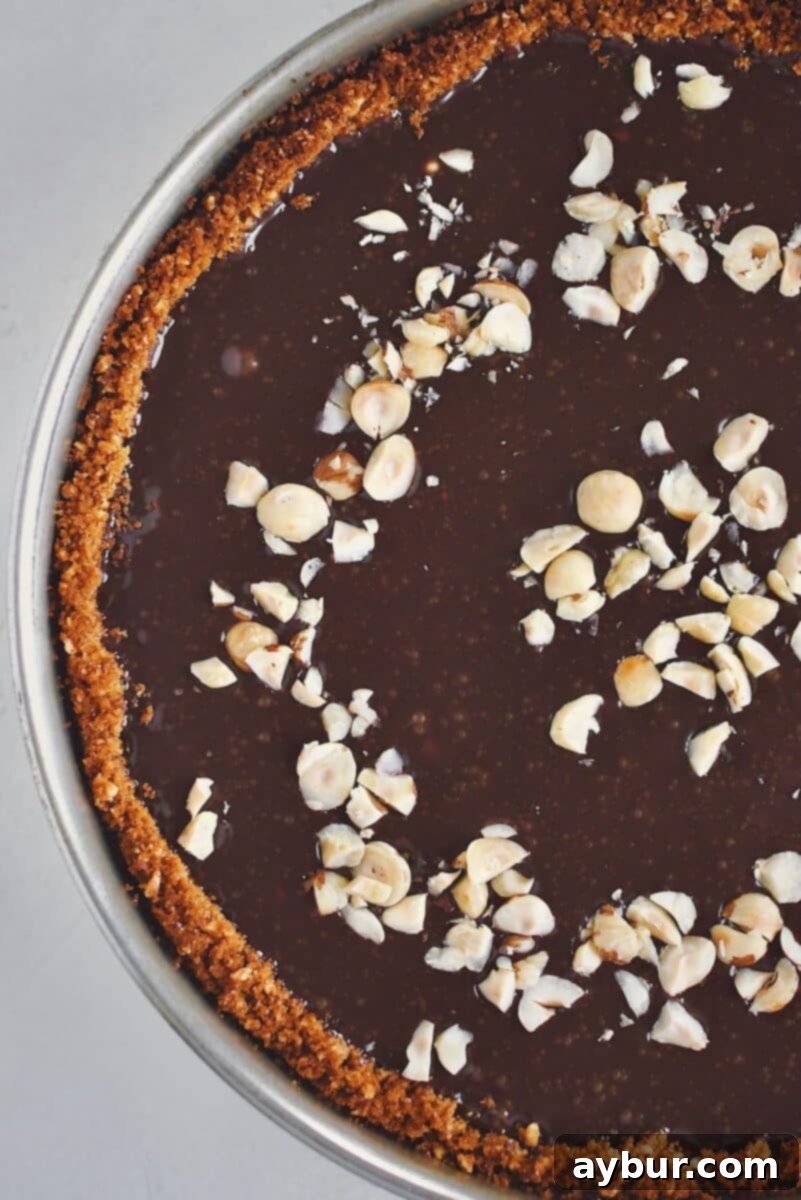 Classic Italian Ricotta Cheesecake 15 The finished Italian Cheesecake, beautifully topped with toasted hazelnuts and delicate flakes of sea salt, ready for slicing.