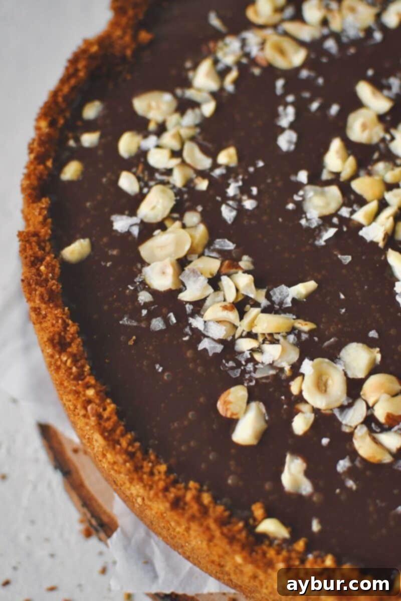 Classic Italian Ricotta Cheesecake 16 A close-up of the magnificent finished Italian Cheesecake, adorned with toasted hazelnuts and glistening flaky sea salt.