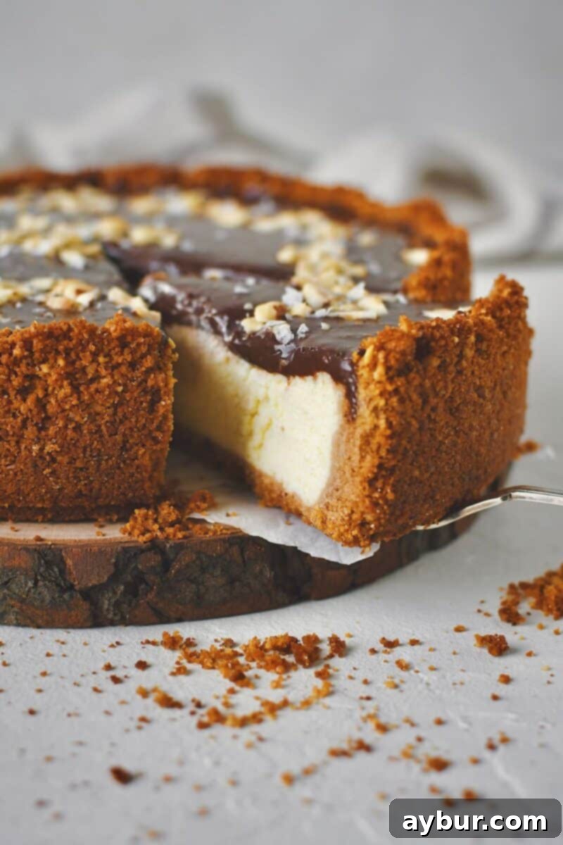 Classic Italian Ricotta Cheesecake 18 The art of carving out a perfect slice from this exquisite, rich Italian Cheesecake, revealing its creamy layers.