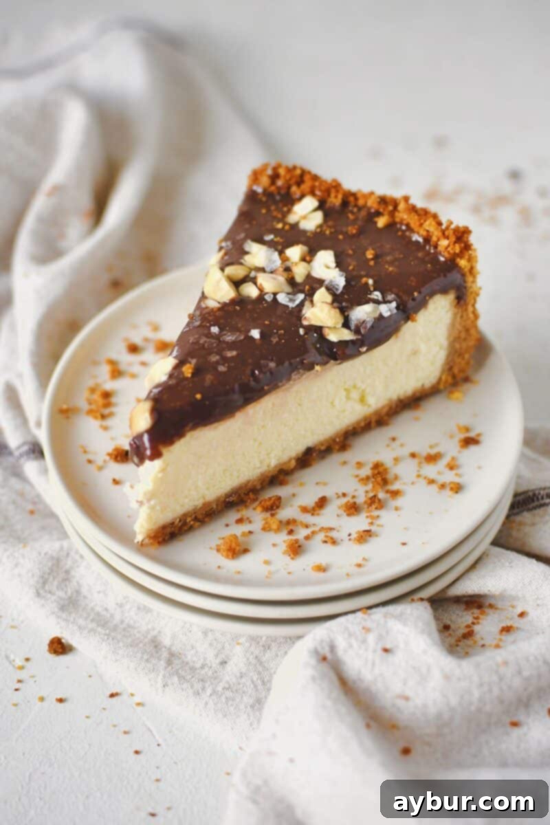 Classic Italian Ricotta Cheesecake 19 A single, inviting slice of Italian Cheesecake, perfectly plated and ready to be savored.