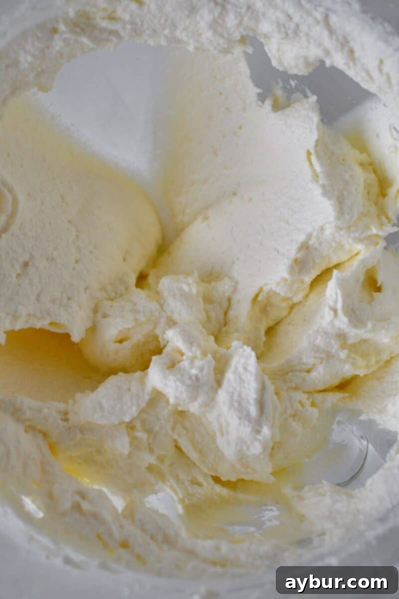 Classic Italian Ricotta Cheesecake 8 The blend of cream cheese, ricotta, and mascarpone, creamed together in the stand mixer until perfectly smooth and lump-free.