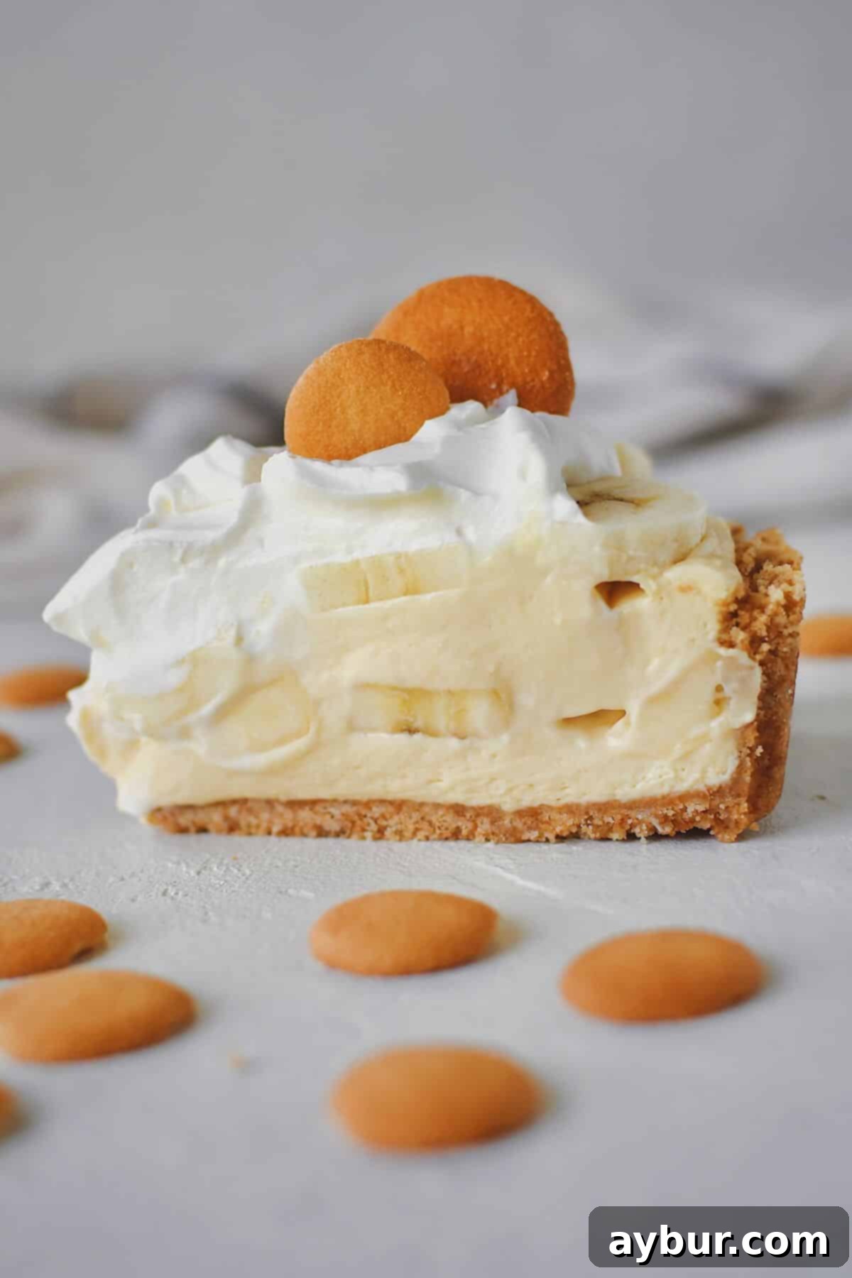 Creamy Banana Dream Pie 14 A delectable slice of Banana Pudding Pie, showcasing its creamy layers and golden crust, presented on a plate and ready for an irresistible bite.