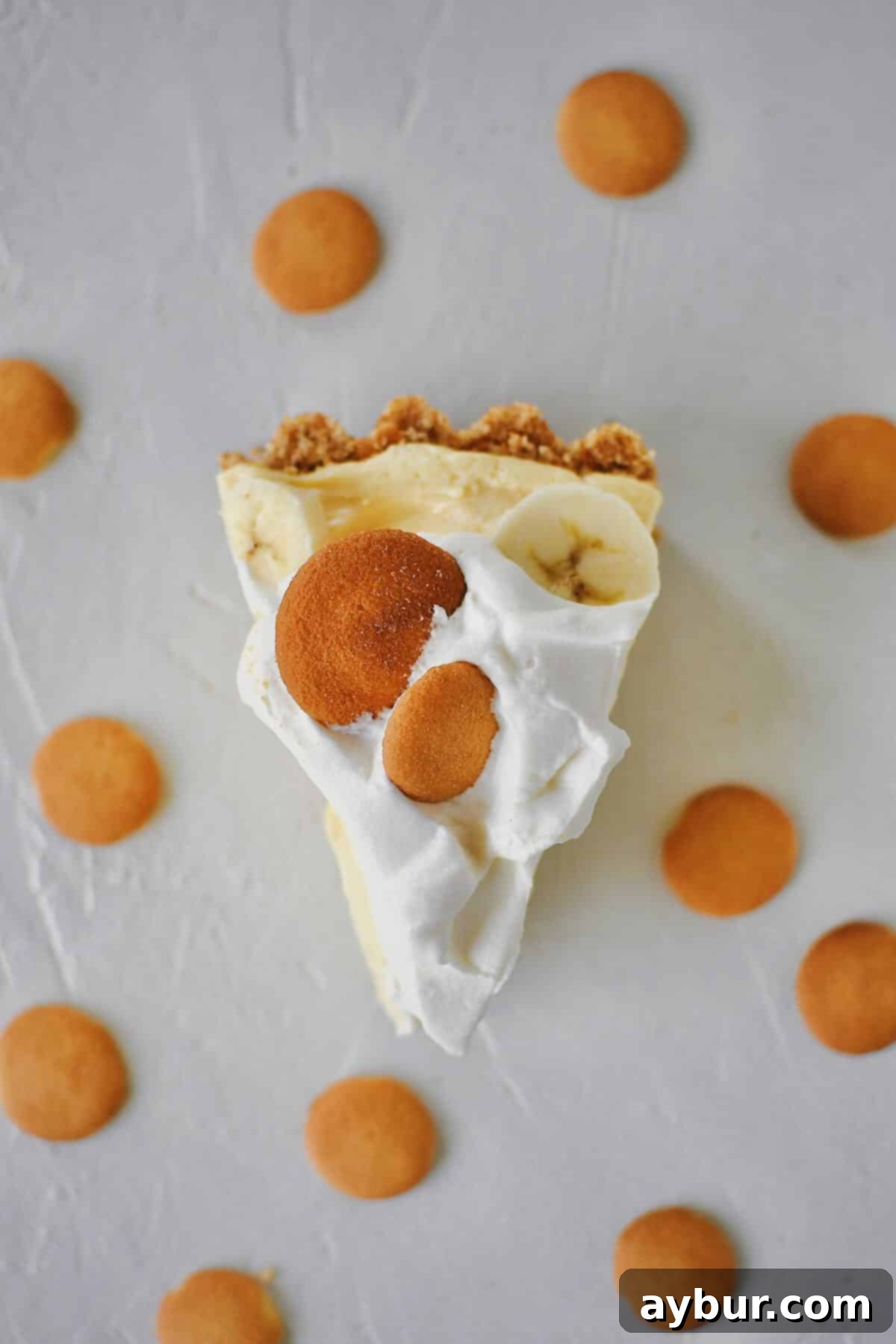 A beautiful, close-up shot of a single slice of Banana Pudding Pie, perfectly layered and garnished, ready to be devoured.