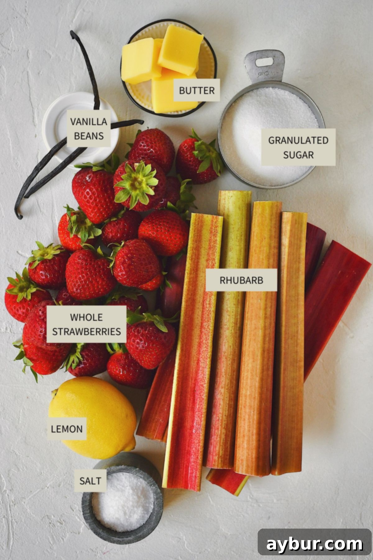 Sun-Kissed Strawberry Rhubarb Spread 3 A beautiful display of fresh ingredients laid out on a kitchen counter, including bright red strawberries, vibrant green rhubarb stalks, sugar, vanilla beans, a lemon, and a small dish of salt, all ready to be transformed into Strawberry Rhubarb Jam.