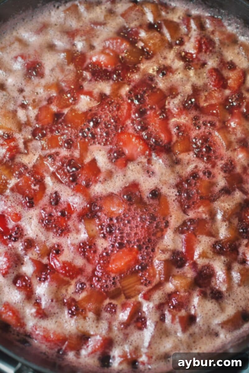 Sun-Kissed Strawberry Rhubarb Spread 7 A vibrant close-up of the strawberry and rhubarb mixture actively boiling in the pan, indicating the start of the cooking process for the jam.