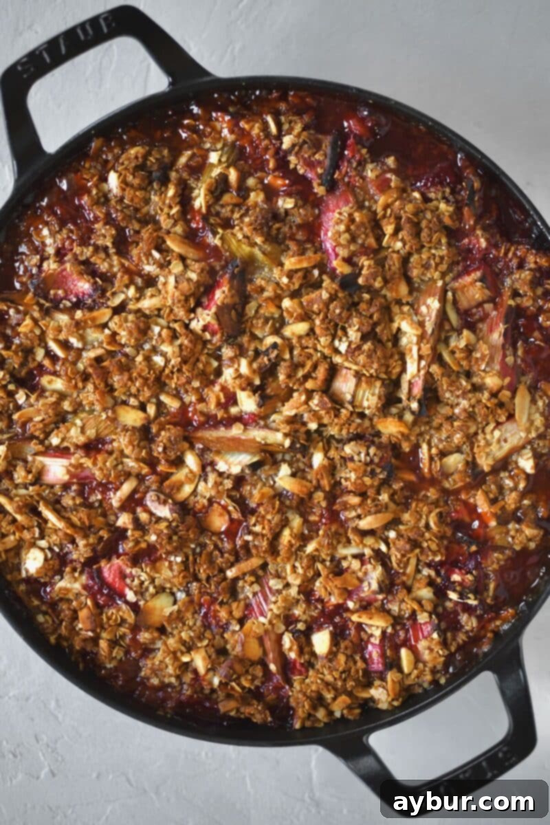 A hot Strawberry Rhubarb Crisp, fresh out of the oven, with the fruit filling visibly bubbling around the golden-brown, crispy edges.