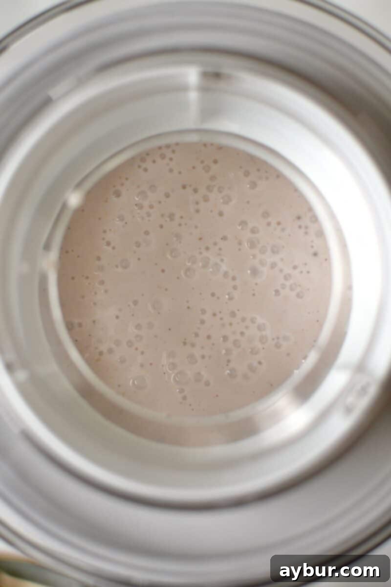 Strawberry Delight 9 Pouring the perfectly chilled, smooth ice cream base into the bowl of an electric ice cream maker, poised for the churning process.