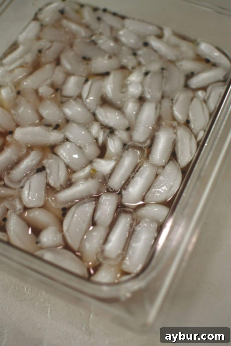 The warm brine mixture being poured over a generous amount of ice in a heat-proof container, rapidly chilling the solution.