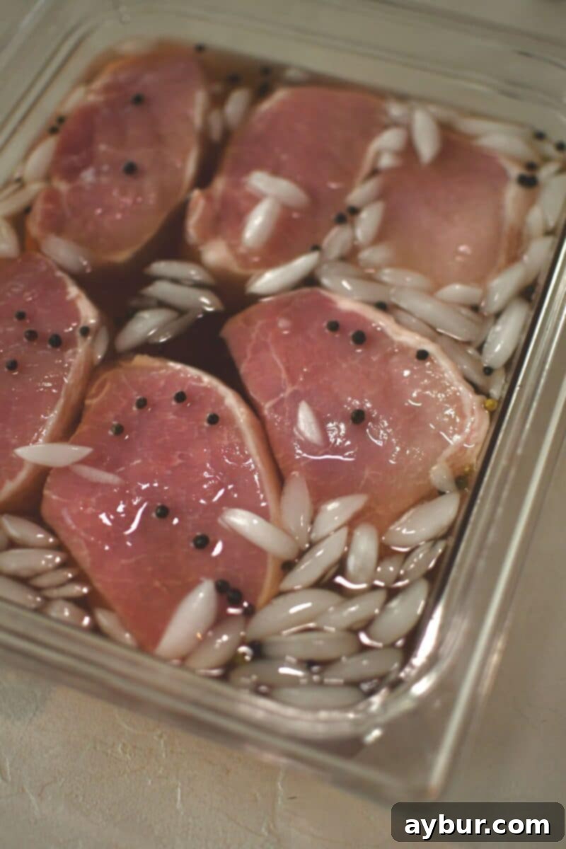 Thick-cut pork chops fully submerged in the cooled brine solution within a container, ready for refrigeration.