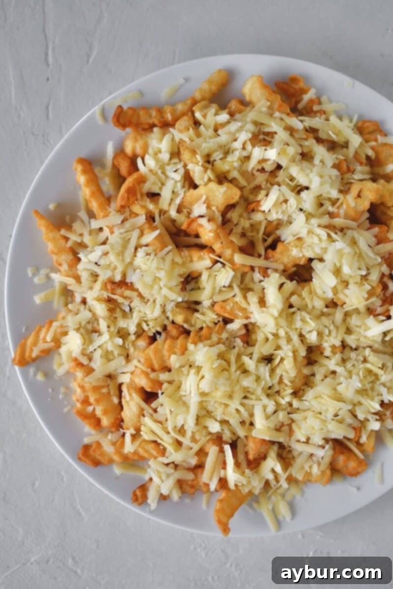 Irish Nachos 4 Layering irish cheddar on top of crispy crinkle french fries.