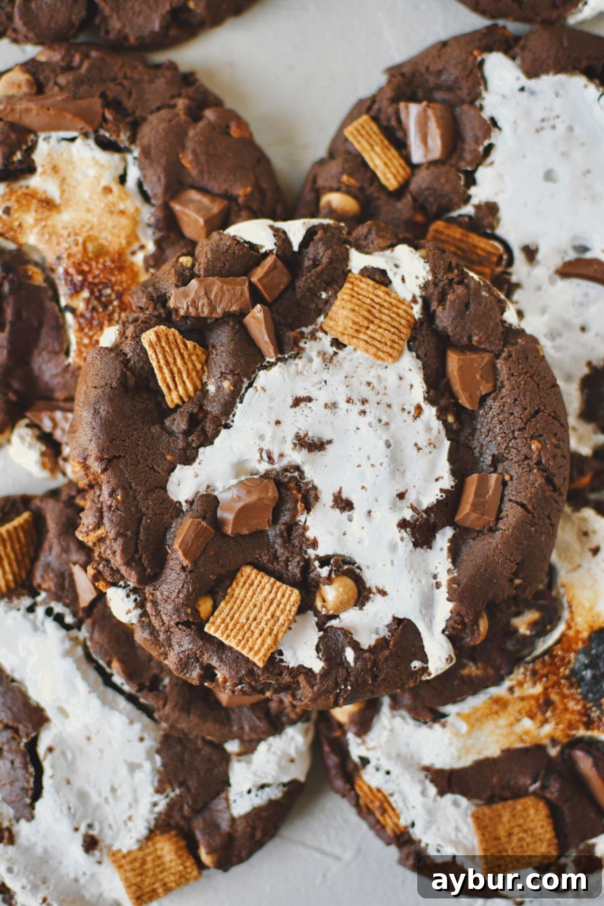 Gooey Chocolate Marshmallow Cookies 2 Decadent Chocolate Marshmallow Cookies, some perfectly toasted for a campfire feel.