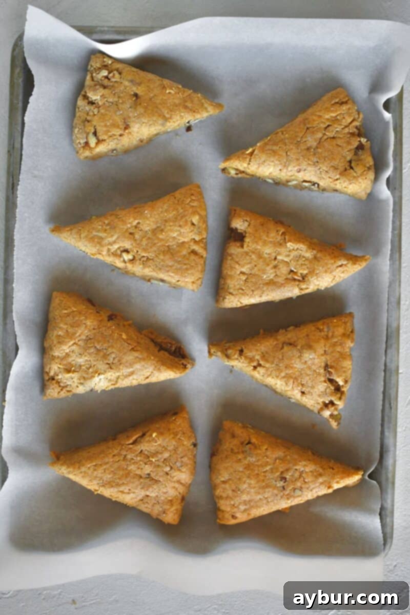 Freshly cut pumpkin scone wedges neatly arranged on a parchment-lined baking sheet, spaced out perfectly, just before they enter the hot oven to bake.