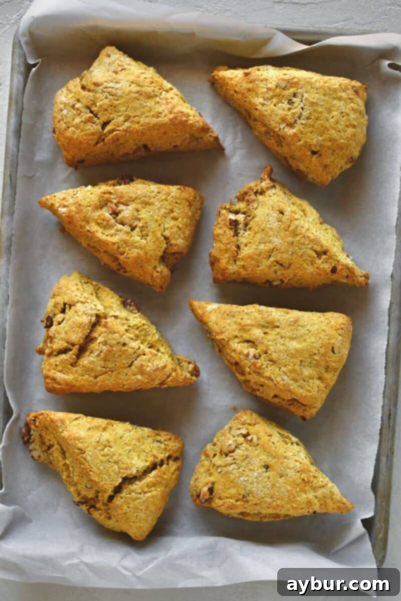 Golden-brown Pumpkin Scones, fresh out of the oven, steaming gently as they begin to cool on a wire rack, anticipating their delectable maple glaze.
