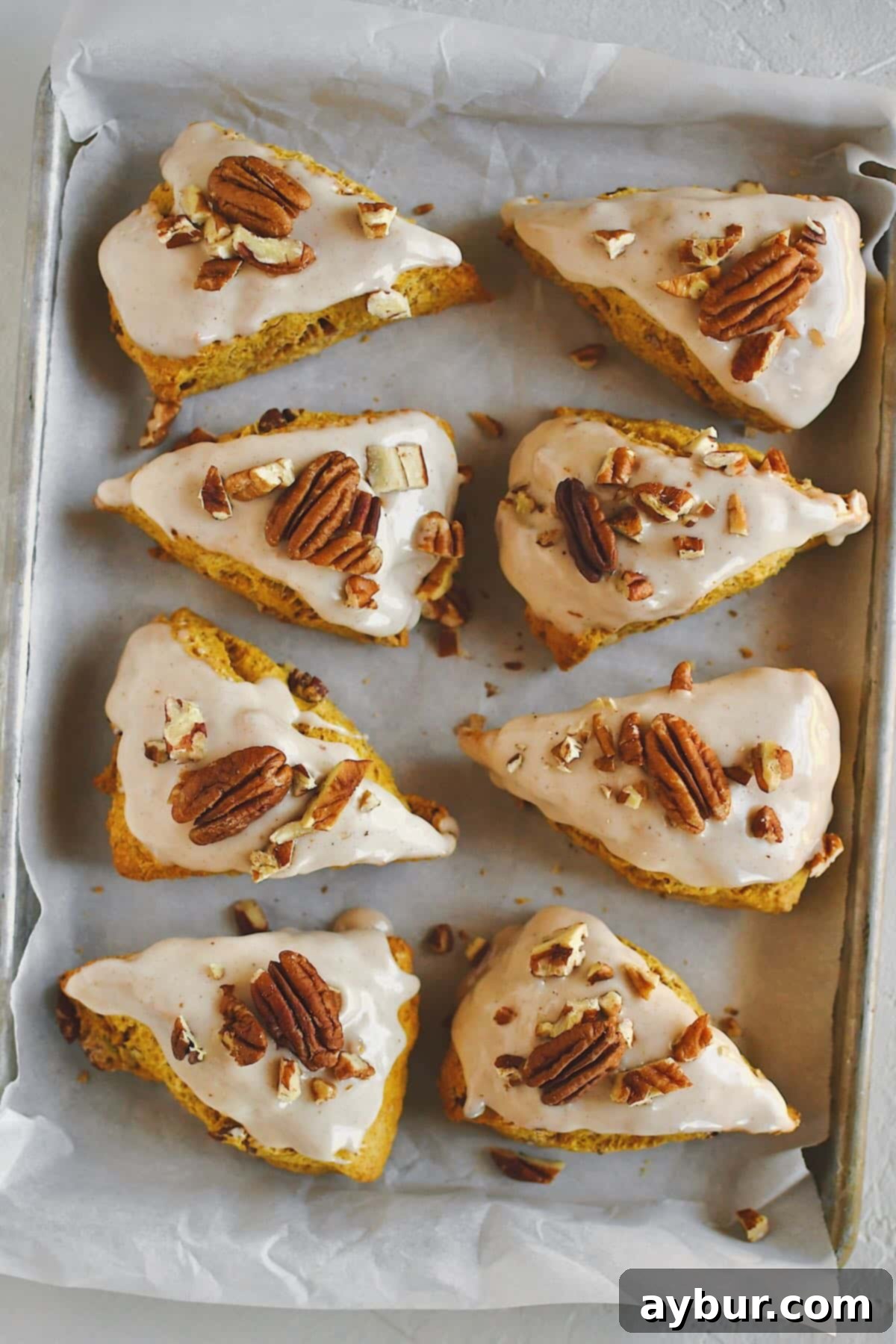 Picture-perfect Pumpkin Scones, impeccably arranged on a tray, lavishly topped with a glistening maple glaze and a generous sprinkle of chopped pecans, poised for immediate enjoyment.