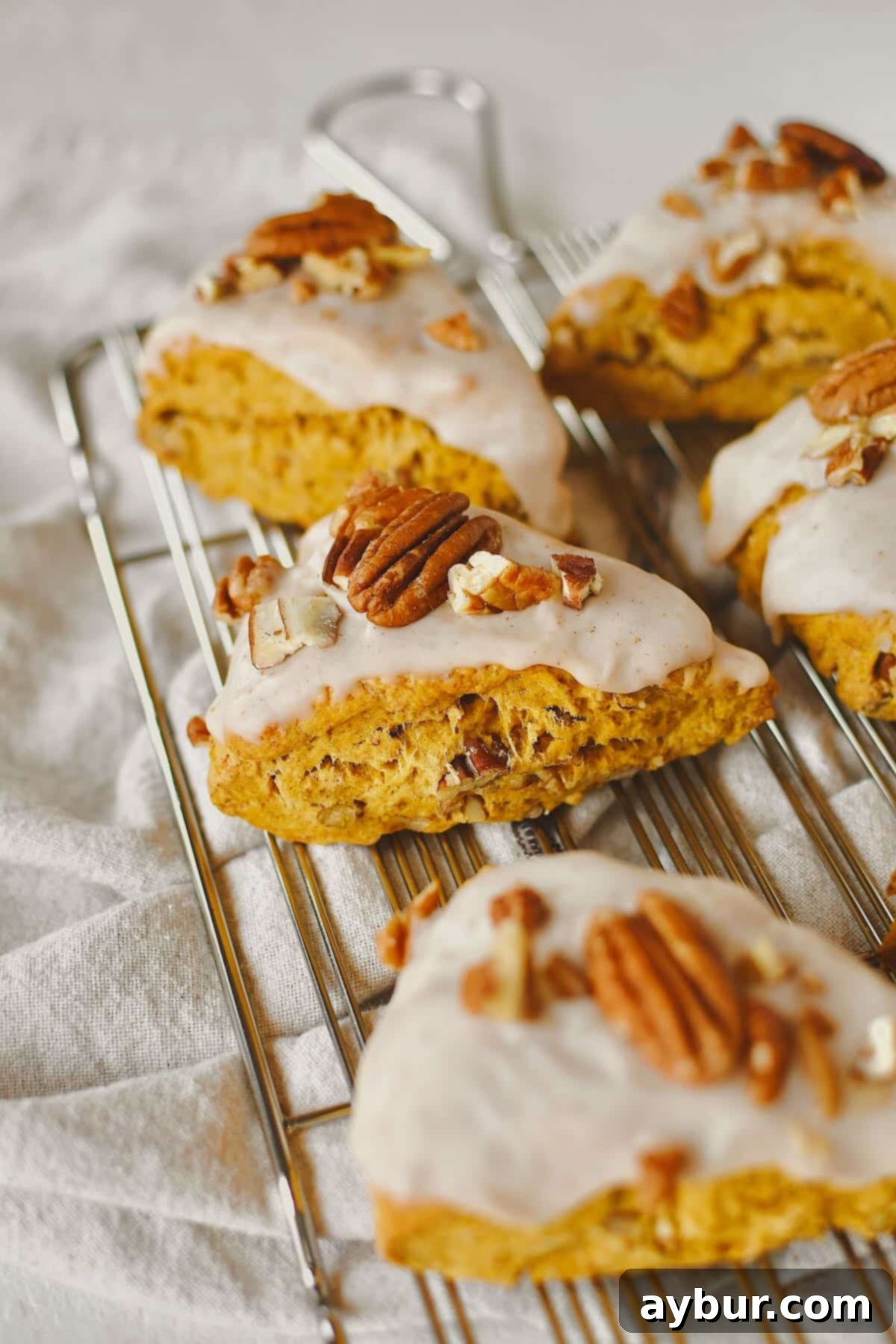 Freshly baked Pumpkin Scones, artfully arranged on a cooling rack, each adorned with a generous drizzle of maple glaze and a sprinkle of chopped pecans, glistening and ready to delight.
