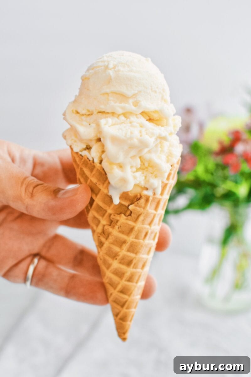 Sweet Peach Dream 2 Scoops of homemade peach ice cream in a bowl, garnished with fresh peach slices.