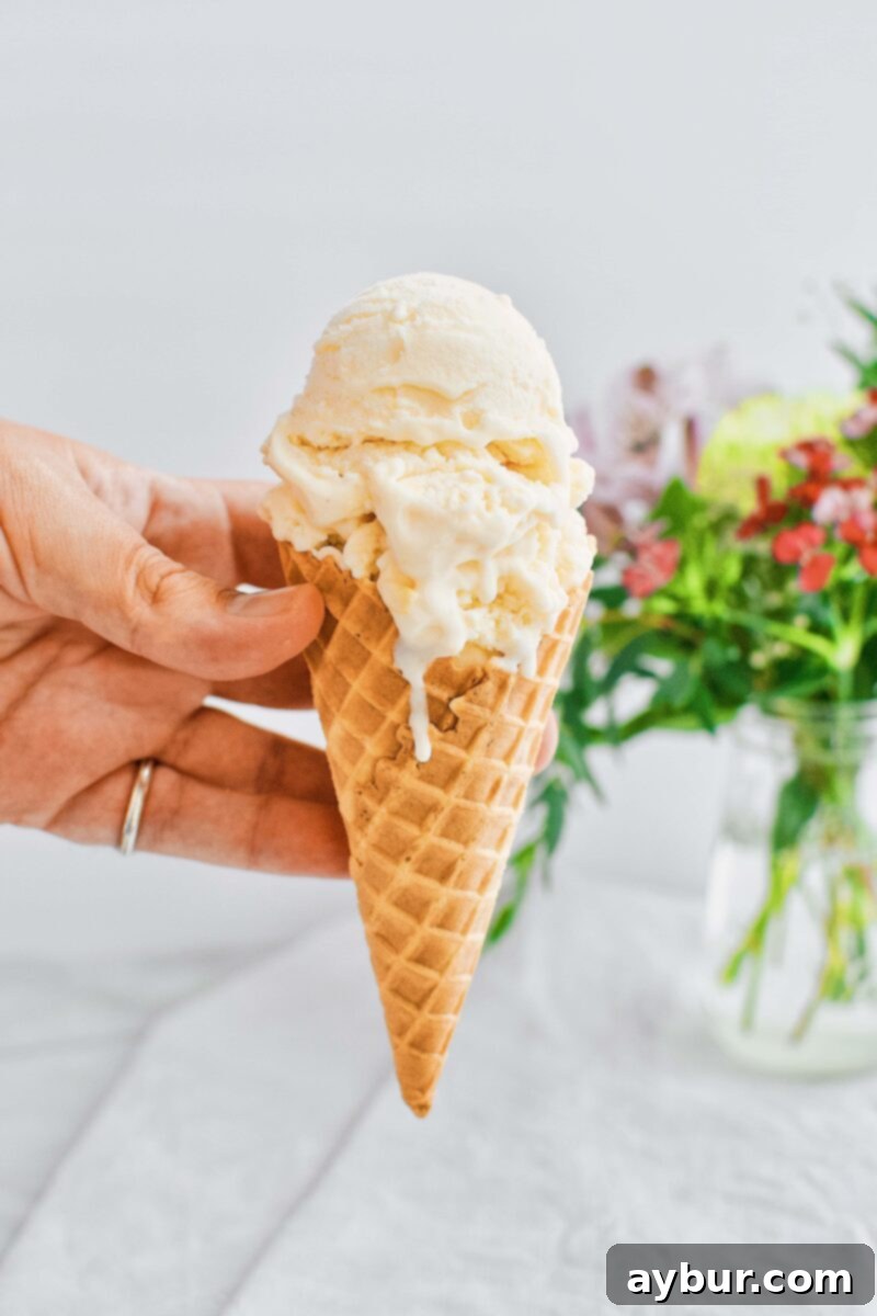 Sweet Peach Dream 13 Homemade Peach Ice Cream, creamy and smooth, presented in a delightful serving.