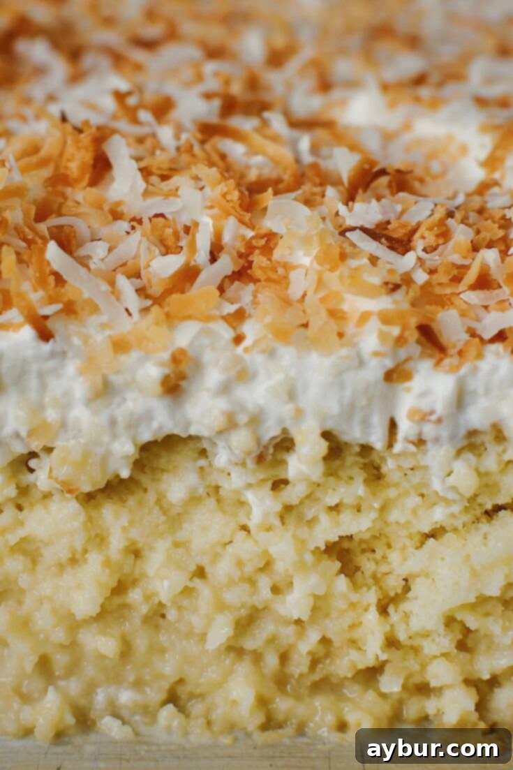 Close up of the cake after slicing, showing the toasted coconut on top, whipped cream, cake, and soaked cake down to the bottom of the pan.