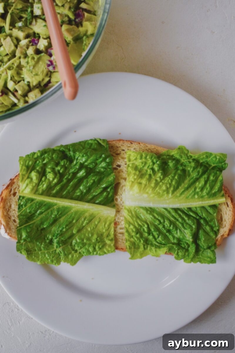 Emerald Goddess Chicken Salad 7 Assembling a sandwich using the chicken salad. Lettuce down on a slice of bread first.