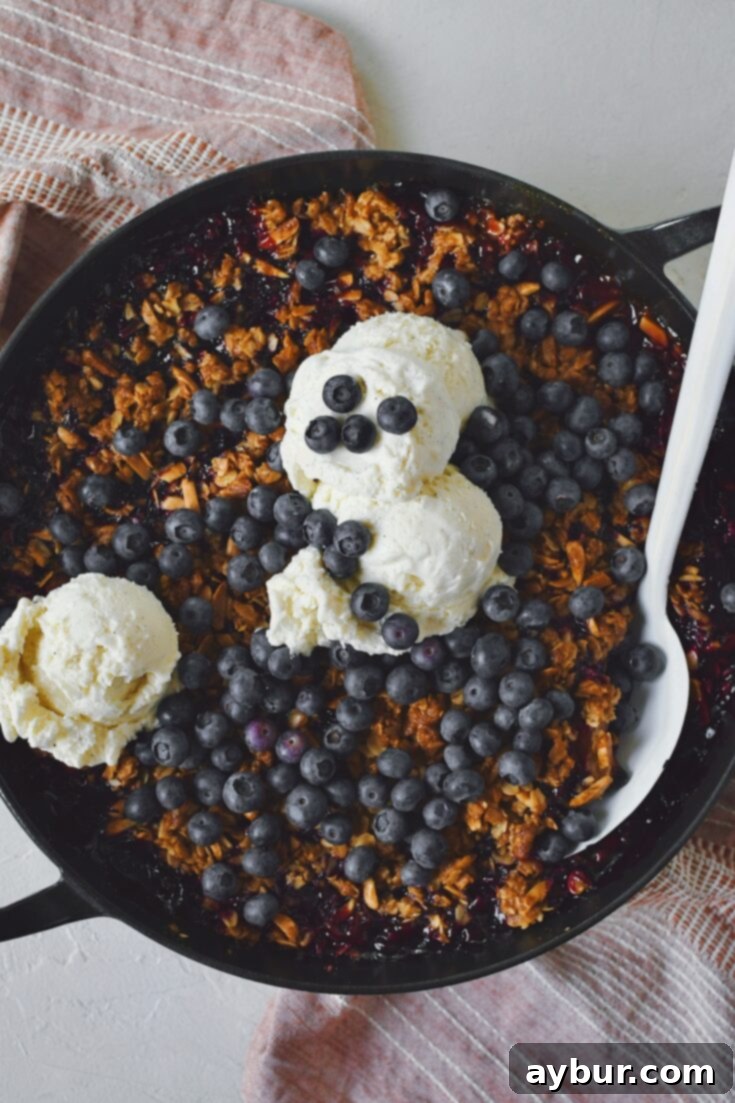 Blueberry Rhubarb Crisp just out of the oven with more fresh blueberries on top and ice cream. Spoon in the side ready to be served up.