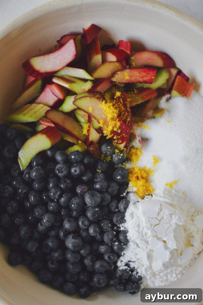 Rhubarb, blueberries, sugar, cornstarch, and lemon zest in a large bowl, before mixing.