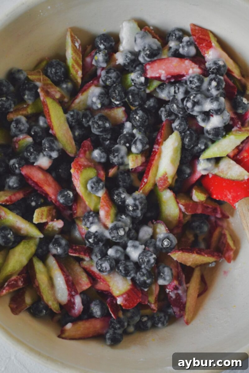 Rhubarb, blueberries, sugar, cornstarch, and lemon zest in a large bowl, after mixing.