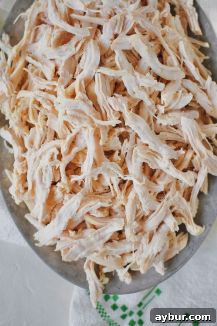 Poached chicken, after shredding, ready to be used in various recipes.