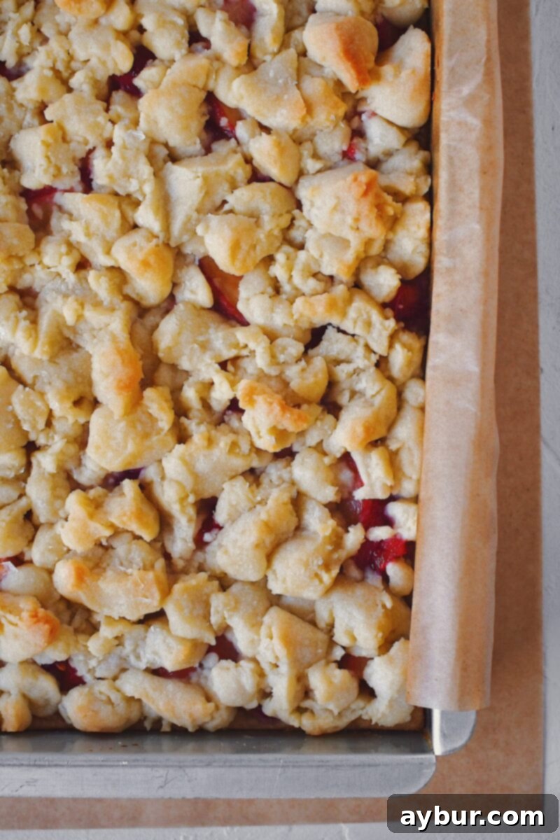 Baked shortbread bars with a golden brown crumble topping and peach filling peeking through.