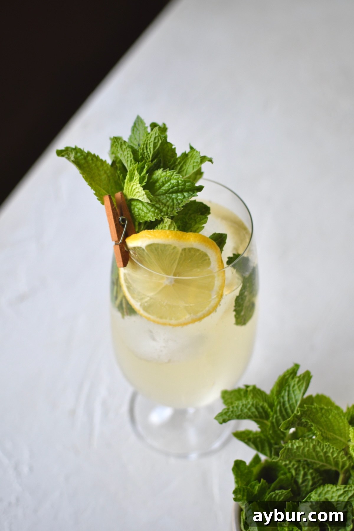 Looking into a sparkling Hugo Spritz cocktail with ice, mint, and a lemon slice.