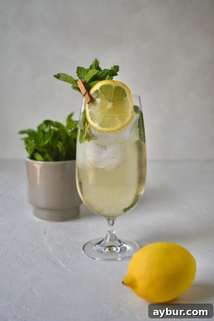 In a large glass, a Hugo Spritz Cocktail, garnished with mint sprigs and lemon wheel. A vibrant and refreshing summer drink.