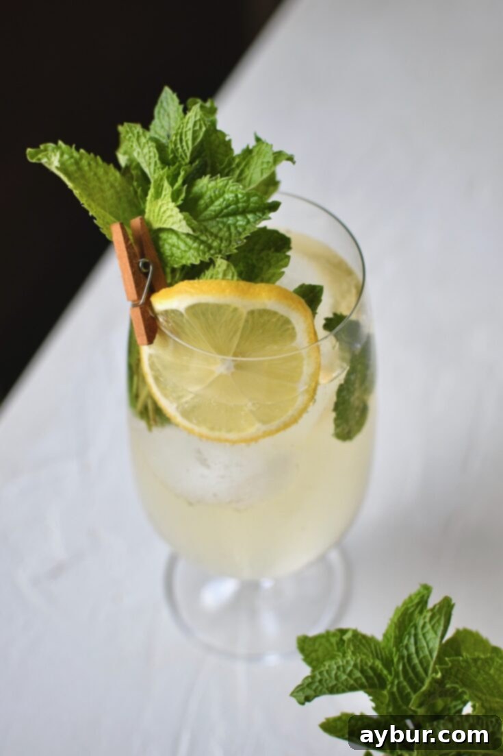 Looking down into a Hugo Spritz Cocktail, perfect for pinning to your drink boards.