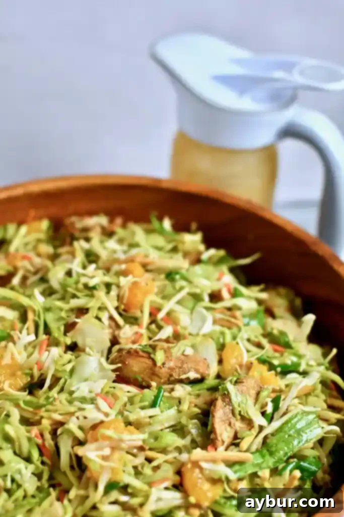 Sesame Ginger Chicken Salad 4 Asian Chicken Salad with Mandarine Peanut Vinaigrette, Ergo Spout by Culinesco