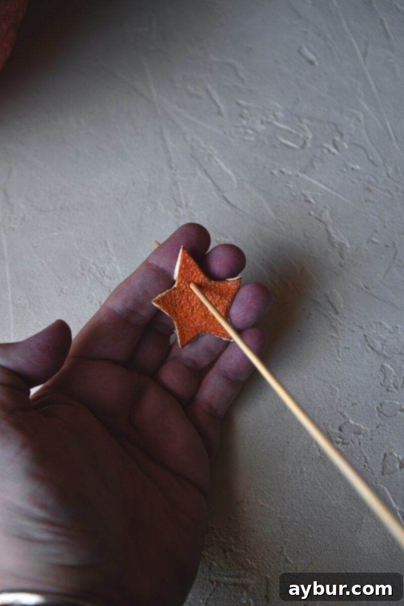 Fragrant Orange Star Garland 11 A close-up demonstration of using a wooden skewer to carefully poke a hole in a dried orange peel star, preparing it for stringing.