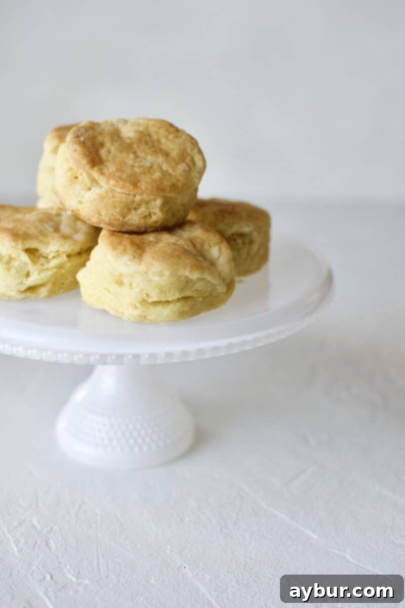 Joanna Gaines recipe for Jojo's Biscuits from the Magnolia Table Cookbook Vol. 1.