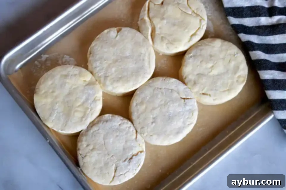 A batch of unbaked biscuit dough, perfectly cut and arranged on a baking sheet, ready to be placed in the oven. Each biscuit promises a golden, fluffy outcome, emblematic of careful preparation.