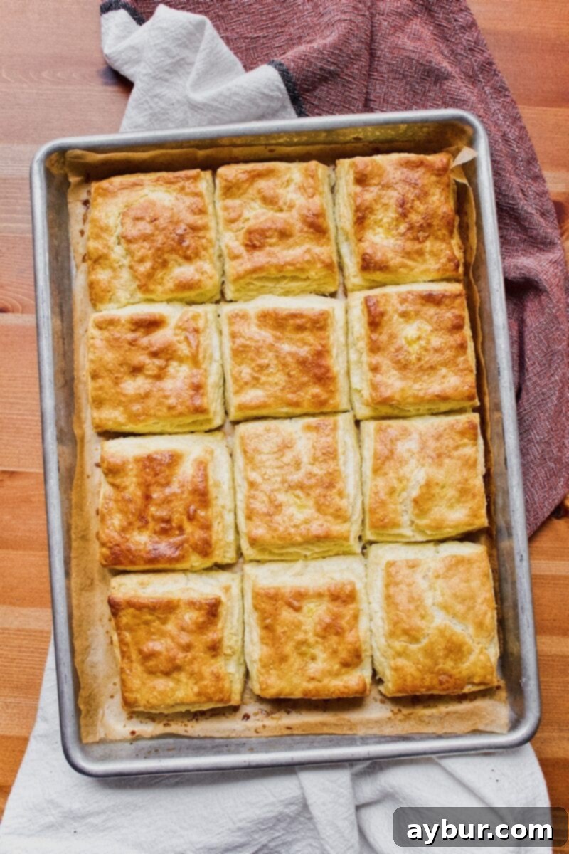 Joanna Gaines recipe for JoJo's Biscuits from the Magnolia Table Cookbook